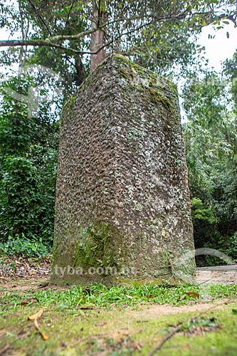  Ruin of old coffee farm - Tijuca National Park  - Rio de Janeiro city - Rio de Janeiro state (RJ) - Brazil