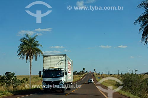  Snippet of the BR-060 highway near to Sidrolandia city  - Sidrolandia city - Mato Grosso do Sul state (MS) - Brazil