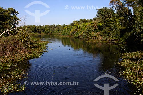  View of Saint Dominic corixo - affluent of the Miranda River  - Miranda city - Mato Grosso do Sul state (MS) - Brazil