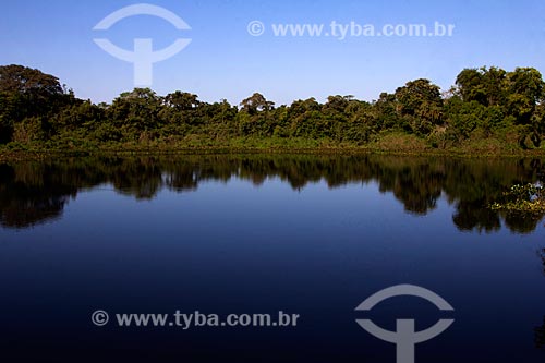 View of Saint Dominic corixo - affluent of the Miranda River  - Miranda city - Mato Grosso do Sul state (MS) - Brazil