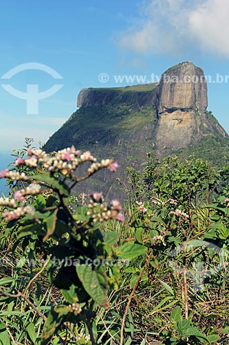 View of the Rock of Gavea during trail - Tijuca National Park  - Rio de Janeiro city - Rio de Janeiro state (RJ) - Brazil