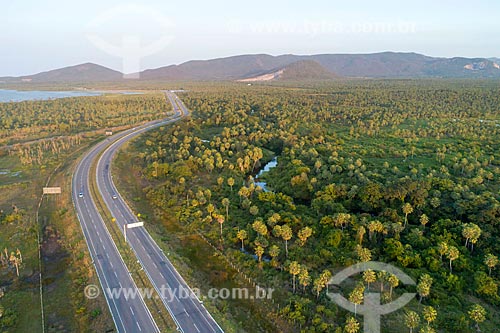  Picture taken with drone of the snippet of the CE-065 highway and carnauba palm (Copernicia prunifera) plantation  - Caucaia city - Ceara state (CE) - Brazil