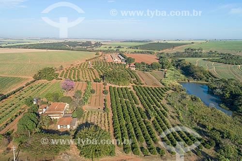 Picture taken with drone of the legumes plantation, orchard of lemon and canavial in the background  - Taquaritinga city - Sao Paulo state (SP) - Brazil
