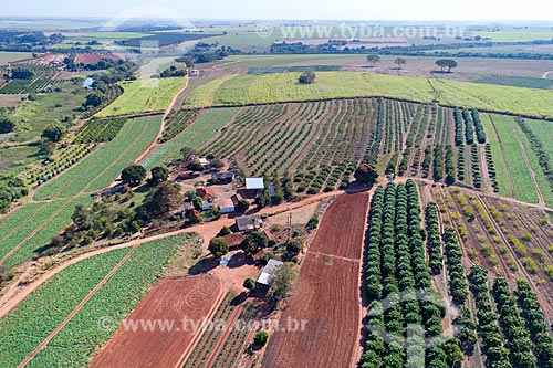  Picture taken with drone of the pumpkin plantation - to the left - and orchard of mango and carambola - to the right  - Taquaritinga city - Sao Paulo state (SP) - Brazil