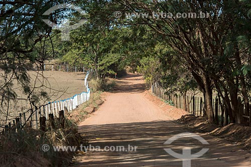  Local road that connects Monte Alto to the Jurupema district  - Taquaritinga city - Sao Paulo state (SP) - Brazil