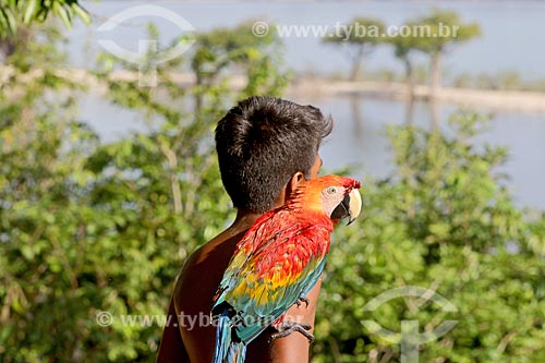  Riverine child with Green-winged Macaw (Ara chloropterus) - also known as Red-and-green Macaw - on the banks of the Uatuma River  - Amazonas state (AM) - Brazil