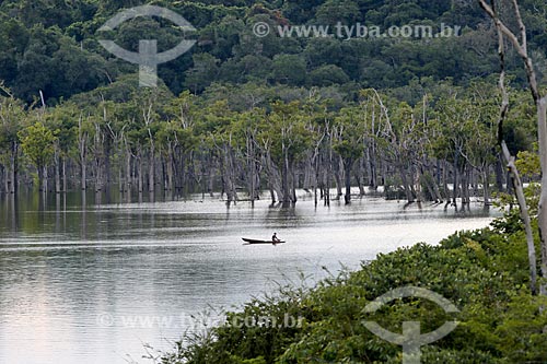 Riverine sailing on the Uatuma River  - Amazonas state (AM) - Brazil