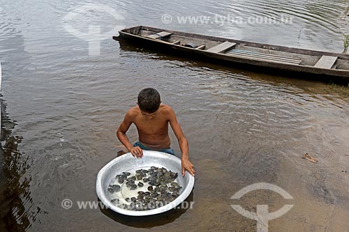  Riverine boy holding basin with puppies of giant south american river turtle (Podocnemis expansa) on the banks of the Uatuma River  - Amazonas state (AM) - Brazil