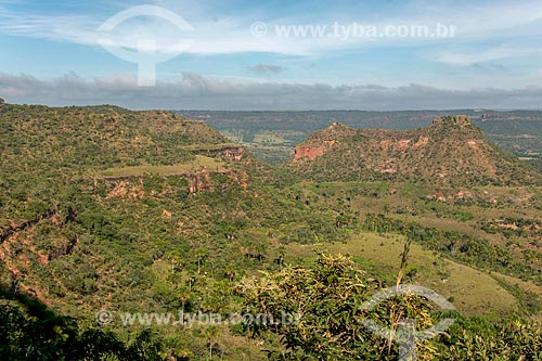  Picture taken with drone of the sandstone formations with typical vegetation of cerrado  - Jatai city - Goias state (GO) - Brazil