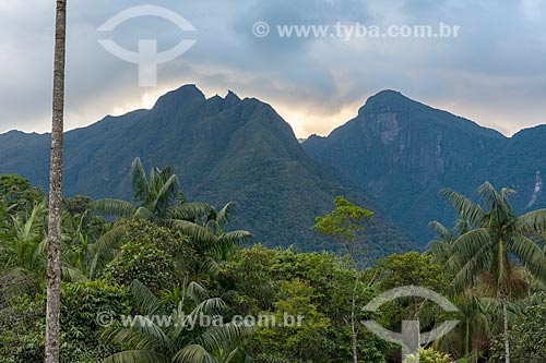  View of the Serrinha do Alambari Environmental Protection Area  - Resende city - Rio de Janeiro state (RJ) - Brazil