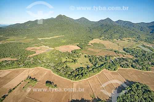  Aerial photo of plantation near to Saint-Hilaire/Lange National Park  - Guaratuba city - Parana state (PR) - Brazil