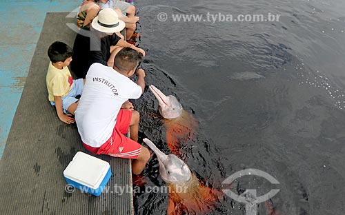  Tourists watching ink dolphin (Inia geoffrensis) - dolphins platform - Negro River  - Novo Airao city - Amazonas state (AM) - Brazil