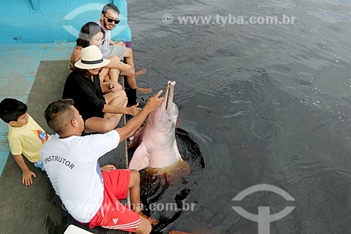  Man feeding pink dolphin (Inia geoffrensis) - dolphins platform - Negro River  - Novo Airao city - Amazonas state (AM) - Brazil