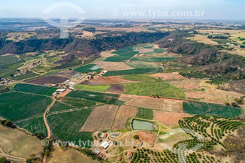  Picture taken with drone of the onion (Allium cepa) plantation - Jaboticabal Mountain Range  - Monte Alto city - Sao Paulo state (SP) - Brazil