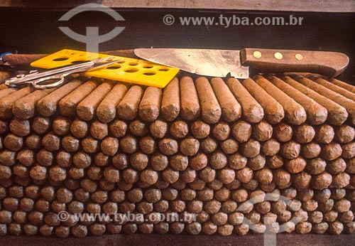  Detail of handmade cigars 