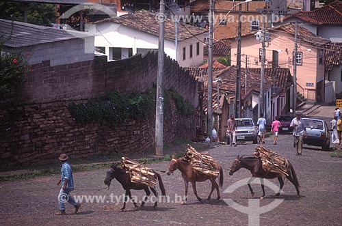  Donkey carrying firewood - 90s  - Ouro Preto city - Minas Gerais state (MG) - Brazil
