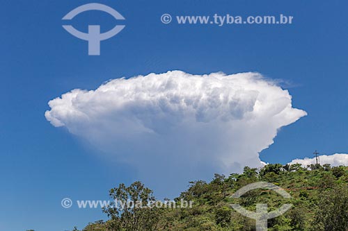  Detail of cloud in blue sky day  - Guarani city - Minas Gerais state (MG) - Brazil