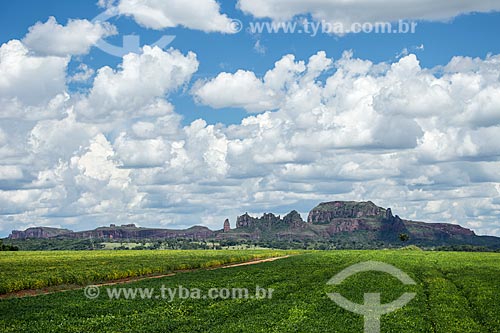  Soybean plantation with the Caiapo Mountain Range in the background  - Caiaponia city - Goias state (GO) - Brazil