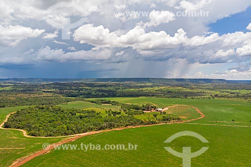  Picture taken with drone of the soybean plantation during rain with the Caiapo Mountain Range in the background  - Caiaponia city - Goias state (GO) - Brazil