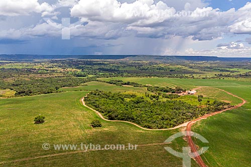  Picture taken with drone of the soybean plantation during rain with the Caiapo Mountain Range in the background  - Caiaponia city - Goias state (GO) - Brazil