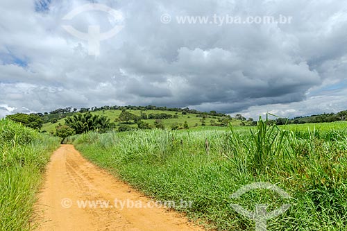  Dirt road - Guarani city rural zone  - Guarani city - Minas Gerais state (MG) - Brazil