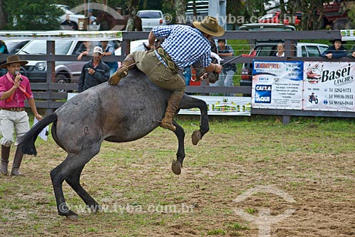  Rider riding a horse during rodeo of gineteada  - Canela city - Rio Grande do Sul state (RS) - Brazil