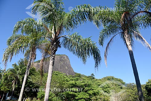  View of the Morro Dois Irmaos (Two Brothers Mountain) from Penhasco Dois Irmaos Municipal Natural Park  - Rio de Janeiro city - Rio de Janeiro state (RJ) - Brazil