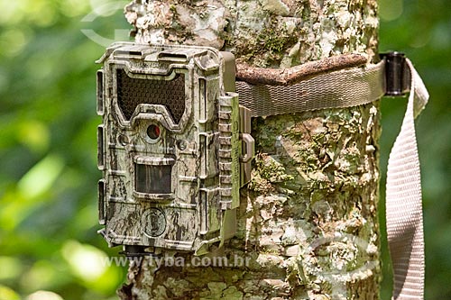  Detail of camera trap near to Iguassu National Park  - Foz do Iguacu city - Parana state (PR) - Brazil
