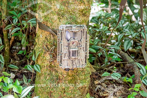  Detail of camera trap near to Iguassu National Park  - Foz do Iguacu city - Parana state (PR) - Brazil