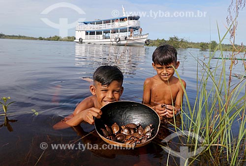  Boys with red-headed Amazon Side-necked Turtles (Podocnemis erythrocephala) - Puranga Conquista Sustainable Development Reserve  - Manaus city - Amazonas state (AM) - Brazil