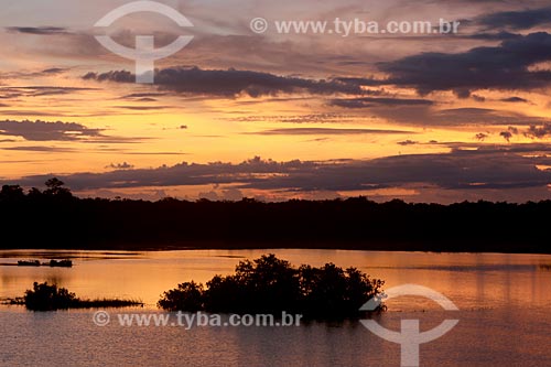  View of the dawn from the Purus River  - Boca do Acre city - Amazonas state (AM) - Brazil