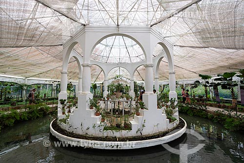  Inside of orchid nursery of the Botanical Garden of Rio de Janeiro  - Rio de Janeiro city - Rio de Janeiro state (RJ) - Brazil