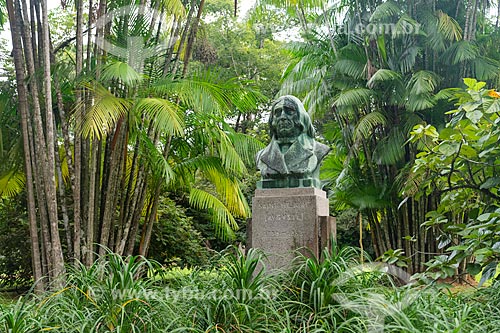  Bust of Auguste de Saint-Hilaire - botanist, naturalist and French traveler - Botanical Garden of Rio de Janeiro  - Rio de Janeiro city - Rio de Janeiro state (RJ) - Brazil