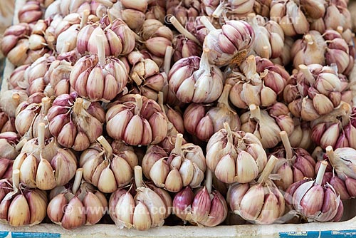  Detail of garlic (Allium sativum) to sale - street fair - Nicaragua Square  - Rio de Janeiro city - Rio de Janeiro state (RJ) - Brazil