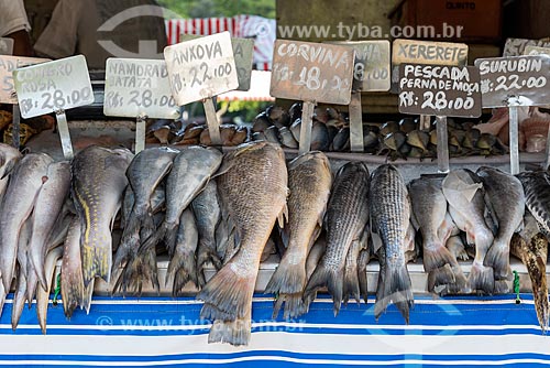  Detail of fishs to sale - street fair - Nicaragua Square  - Rio de Janeiro city - Rio de Janeiro state (RJ) - Brazil