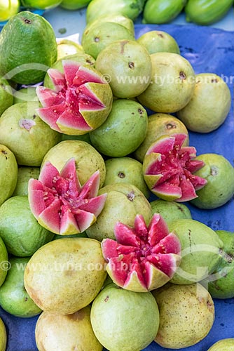  Detail of guavas to sale - street fair - Nicaragua Square  - Rio de Janeiro city - Rio de Janeiro state (RJ) - Brazil