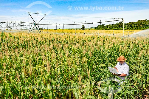  Farmer using computer in the field in the middle of the cornfield  - Buritama city - Sao Paulo state (SP) - Brazil