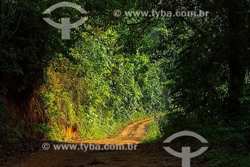  Dirt road - Guarani city rural zone amid the shadow  - Guarani city - Minas Gerais state (MG) - Brazil