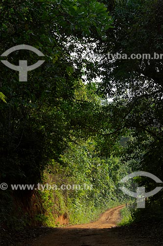  Dirt road - Guarani city rural zone amid the shadow  - Guarani city - Minas Gerais state (MG) - Brazil