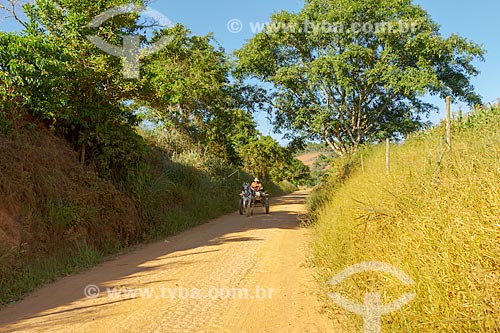  Wagon - dirt road - Guarani city rural zone  - Guarani city - Minas Gerais state (MG) - Brazil