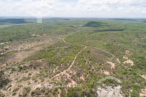  Picture taken with drone of the Acu National Forest  - Acu city - Rio Grande do Norte state (RN) - Brazil