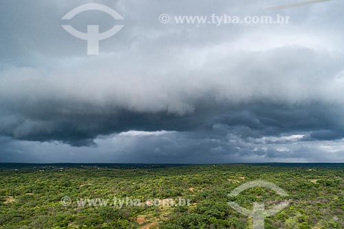  Picture taken with drone of the rain - backwood of paraiba  - Pombal city - Paraiba state (PB) - Brazil
