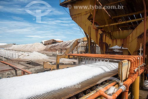  Salt washing during extraction with conveyor belt - evaporation ponds  - Macau city - Rio Grande do Norte state (RN) - Brazil
