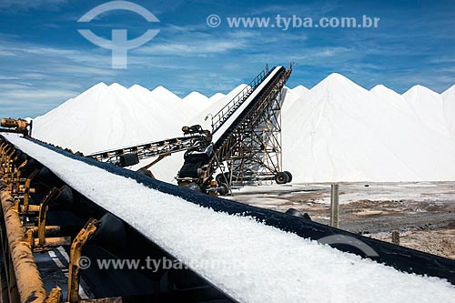  Extraction of salt with conveyor belt - evaporation ponds  - Macau city - Rio Grande do Norte state (RN) - Brazil
