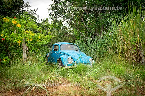  Beetle parked amid the vegetation - Guarani city rural zone  - Guarani city - Minas Gerais state (MG) - Brazil