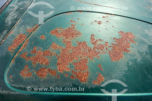  Detail of rusty Beetle during the 5th Fusqueata  - Guarani city - Minas Gerais state (MG) - Brazil