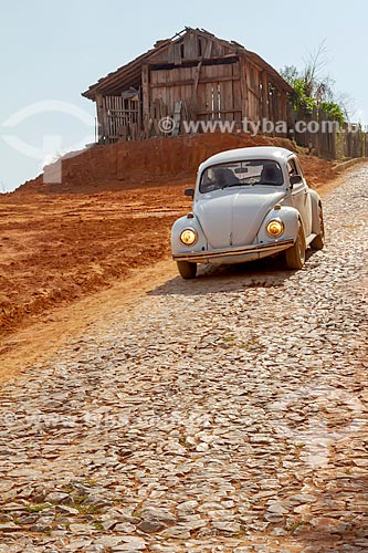  Beetle down slope with stone pavement  - Guarani city - Minas Gerais state (MG) - Brazil