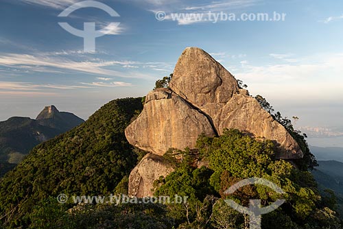  Bico do Papagaio Mountain - Tijuca National Park during the dawn  - Rio de Janeiro city - Rio de Janeiro state (RJ) - Brazil