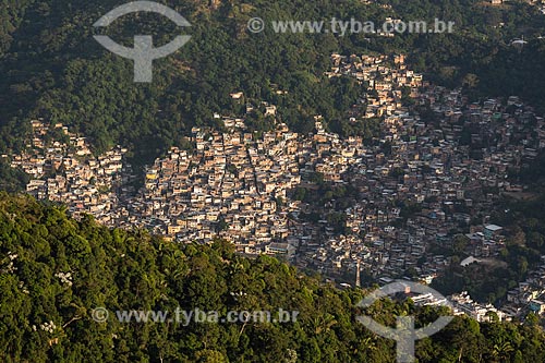  View of the dawn - Borel Hill from Sumare Mountain  - Rio de Janeiro city - Rio de Janeiro state (RJ) - Brazil