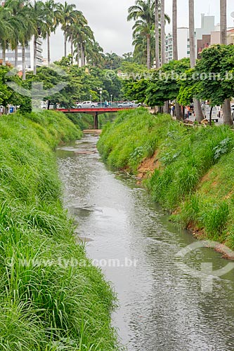  Polluted canal by irregular dumping of domestic sewage near to Comendador Jacinto Soares Souza Lima Avenue  - Uba city - Minas Gerais state (MG) - Brazil